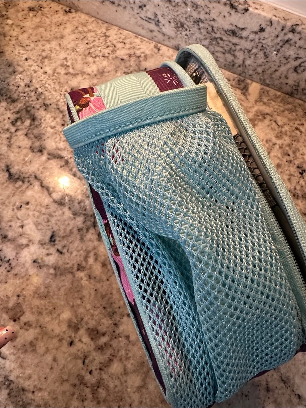 Pottery Barn Fairy Print Lunch Bag - Purple with Aqua Trim